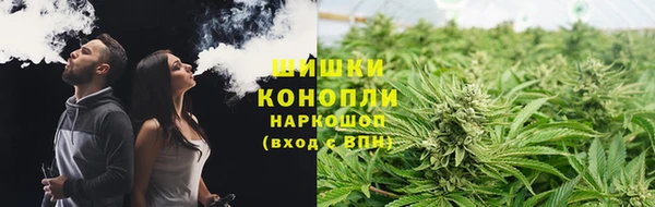 PSILOCYBIN Богородицк